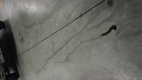 IMG_20190506_111823.jpg (2.54 MiB) Visto 4172 veces IMG_20190506_111823.jpg