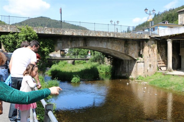 Aquí estabamos intentando ver oro en el río, pero no había ni oro ni truchas.