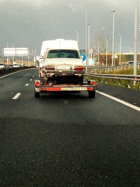 De camino a su nuevo hogar