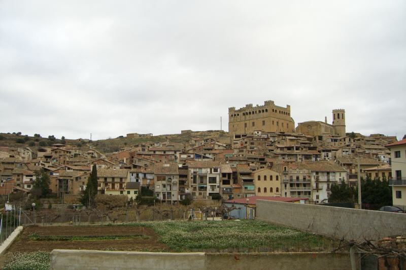 CIMG0021.jpg